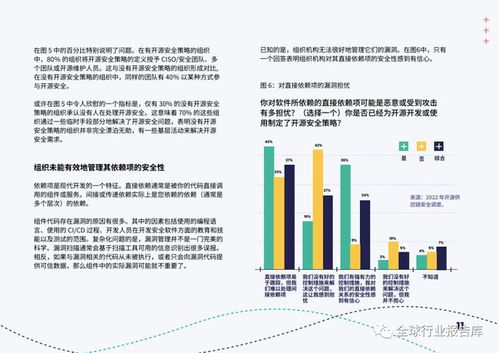 開源軟件安全 應(yīng)對網(wǎng)絡(luò)安全挑戰(zhàn)的開發(fā)實(shí)踐與策略